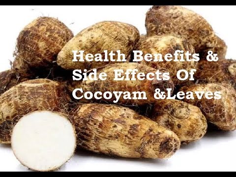 Health Benefits &amp; Side Effects Of Cocoyam &amp; Leaves: Boost Immune System, Tackle Anaemia &amp; Diabetes