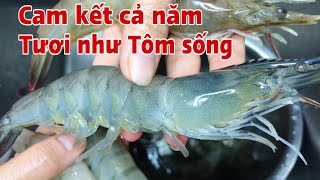 Mẹo bảo quản Tôm tươi cả năm, thịt Tôm vẫn giòn ngọt như Tôm sống. screenshot 1