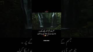 rhon ko. zakhami de gaya