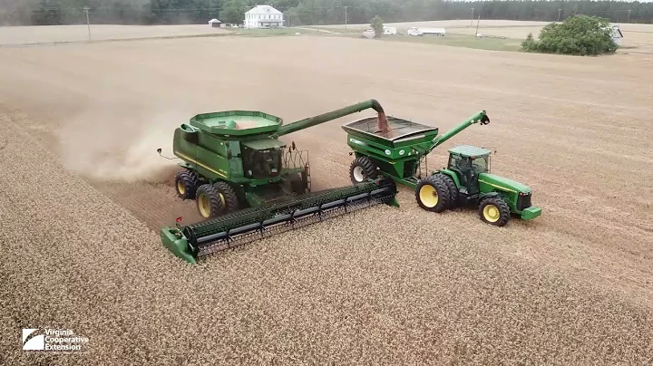 Virginia Wheat Production