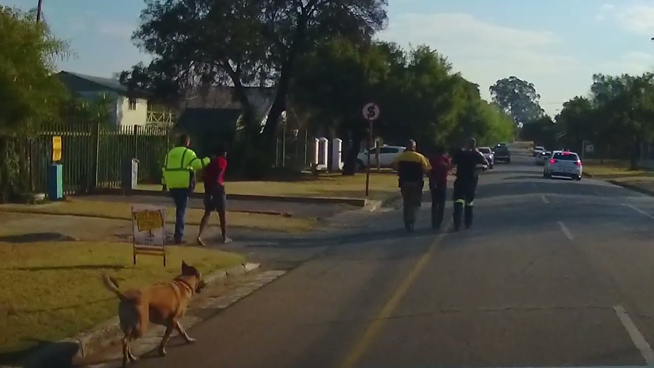 THEY TRIED TO ROB A LADY IN HER HOUSE