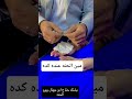 Who Has Henna Like This SaudiArabia Comedy Wedding Bride Egypt 