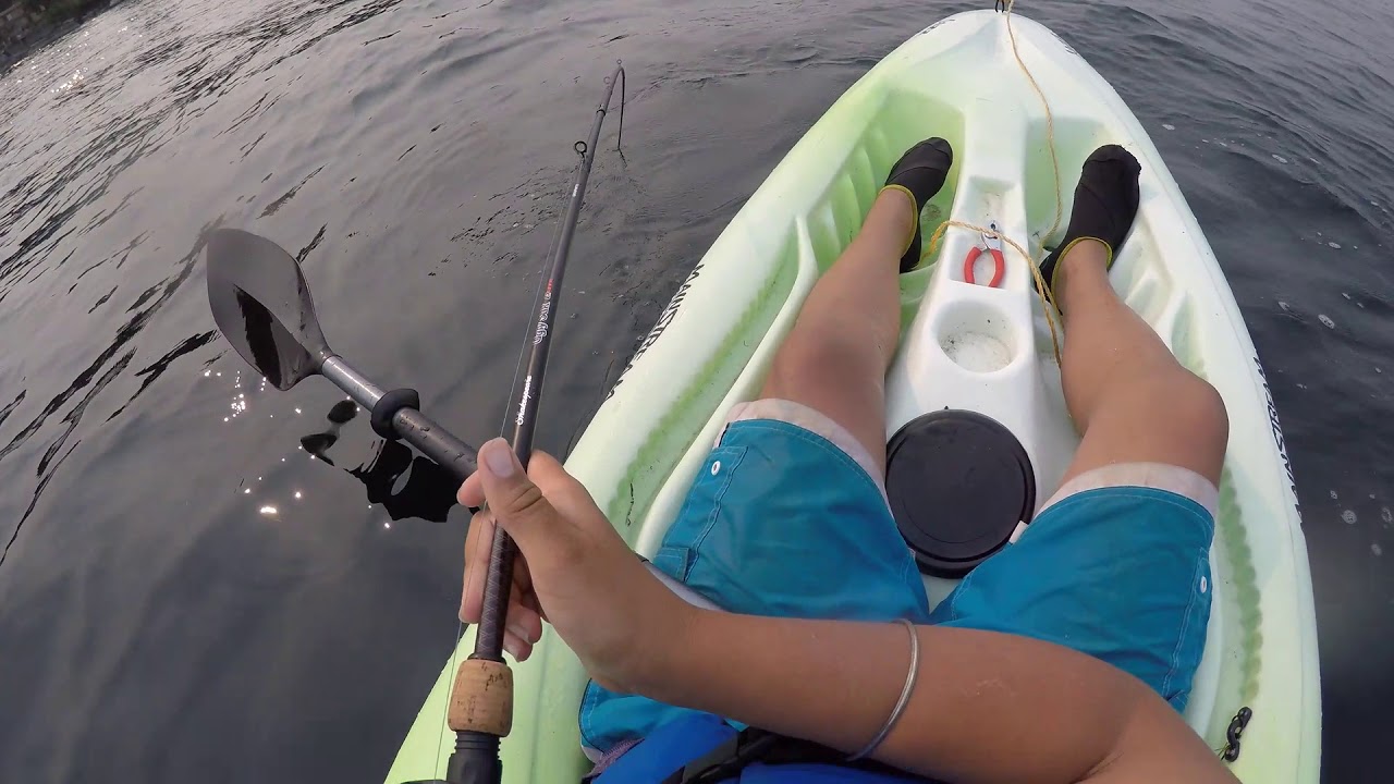 Kayak Fishing for Dogfish and flounder on Vancouver Island YouTube