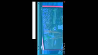 Application Review: Sport Live Stream (Android) screenshot 5