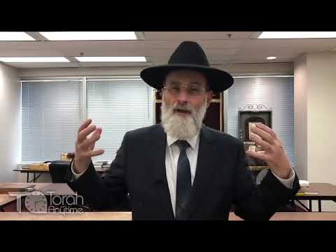 Rabbi Dovid Hofstedter- Seudat Purim