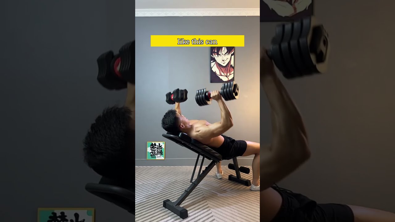 The Only Home Gym Equipment You Truly Need Dumbbell Bench Training 