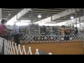 5-8-11 Caddo Kennel Club of Texas, Marshall TX 5-8-11 Caddo Kennel Club of Texas, Marshall TX
