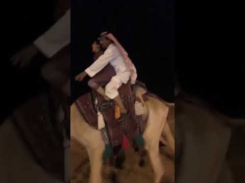 اشجع ولد