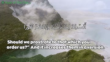 Surat Al-Furqan (25: The Criterion) -  Ayat: 60-62 | Maher Arar |  سورة الفرقان |  ماهر عرار