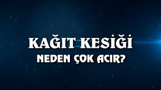 Kağıt kesiği neden çok acır? (Türkçe)