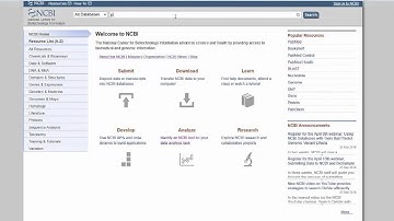 BIT001Y Bioinformatics assignment 1