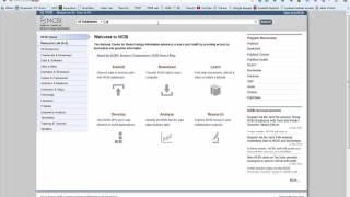 BIT001Y Bioinformatics assignment 1