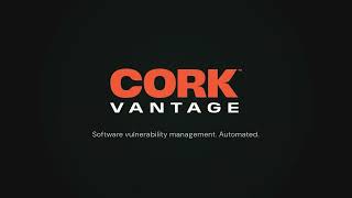 Full Automated Software Vulnerability Remediation Guide