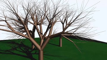 Shadow mapping in tree simulator