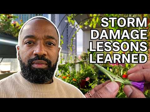 Don't Make This Mistake in a Windy Garden