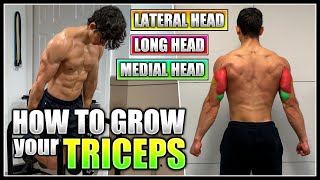 How To Grow Your Triceps Best Exercises Training Tips