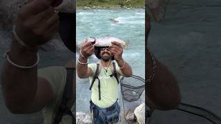 beautiful brown trout on a tiny nymph.. #flyfishing #kashmir #nature #travel #viral