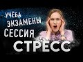 Как бороться со стрессом? Стресс во время учебы.