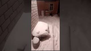 Первый снегопад в Воронежской области 20.11.2023