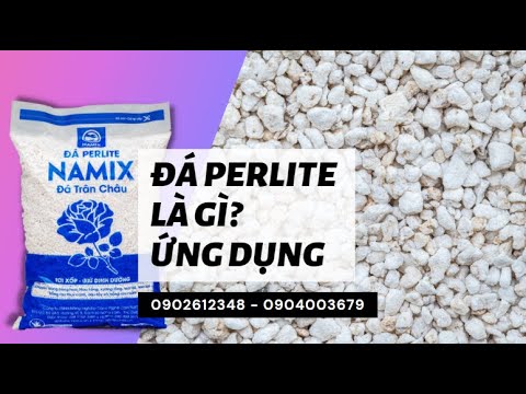 Video: Perlite Soil Info - Thông tin về việc trồng cây trong đá trân châu