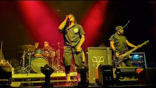 Download Lagu P.O.D. - Afraid To Die (Live) @ Denver, 11/1/2025 MP3