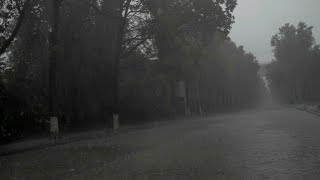 睡覺的雨聲   ⚡密集強雷暴+大暴雨，放鬆和睡覺的BGM，放鬆BGM，治愈BGM，雨聲BGM，背景音樂，BGMmusic，background music，sleep music，white nois