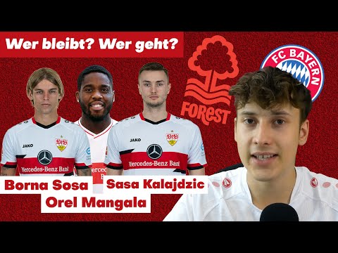 VfB Stuttgart: Sasa Kalajdzic, Borna Sosa & Orel Mangala | Transfer Update Realtalk