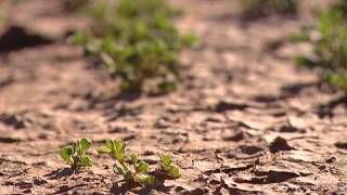 Untamed Australia episode 9 (Documentary) Untamed Australia Episode 8 Documentary