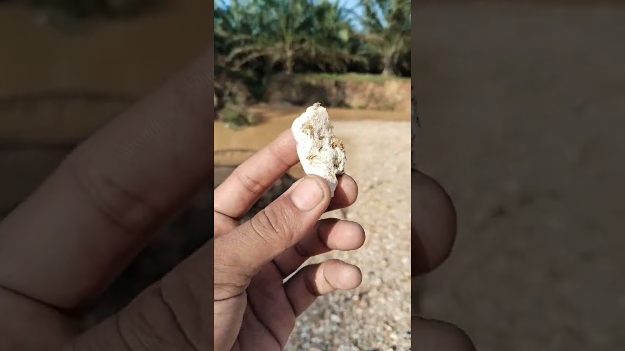 WALI MARELAN , gass ngebolang abang abang ku!!!!