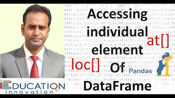 Class 12 IP | Accessing individual element of DataFrame
