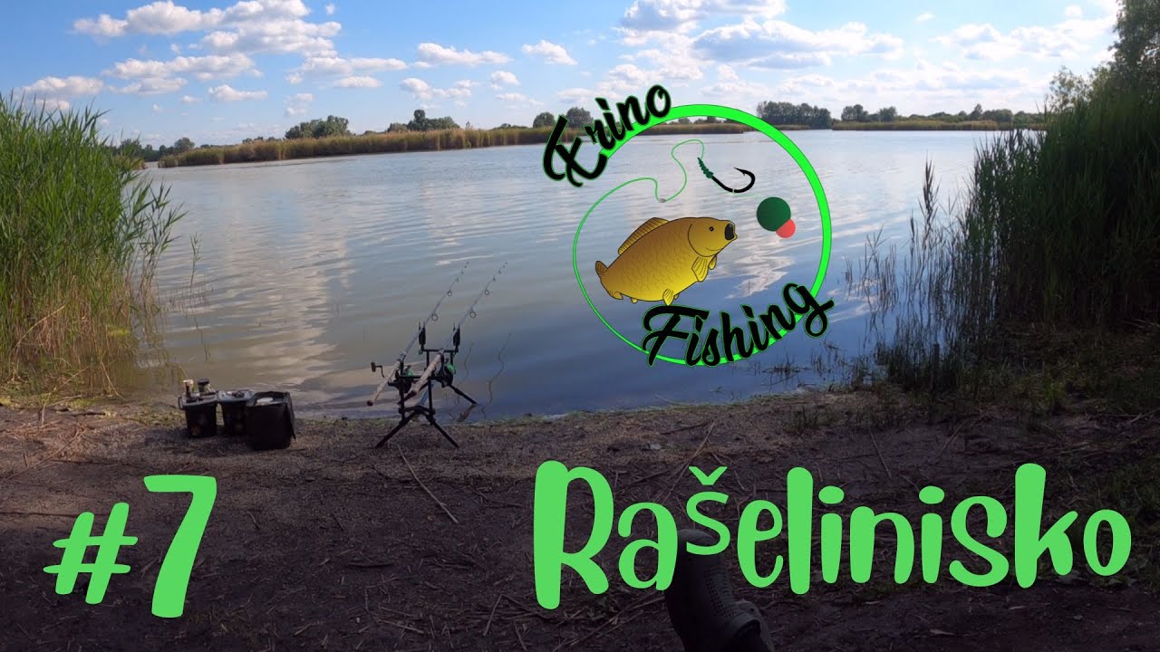 Rybárske videá #7 - Smradľavé rašelinisko🤢 / Chytám v 50cm vode ? 🤔🤷‍♂️