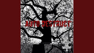 Watch Behind The Pieces Into The Forest video