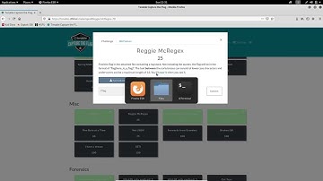 Reggie McRegex || Tenable CTF 2021 || Misc Challenge || Reggie McRegex || Walkthrough Try