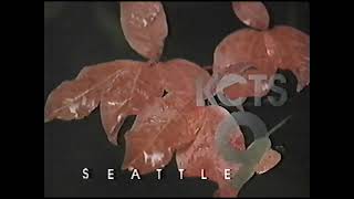 Kcts 9 Leaves Ident 1997
