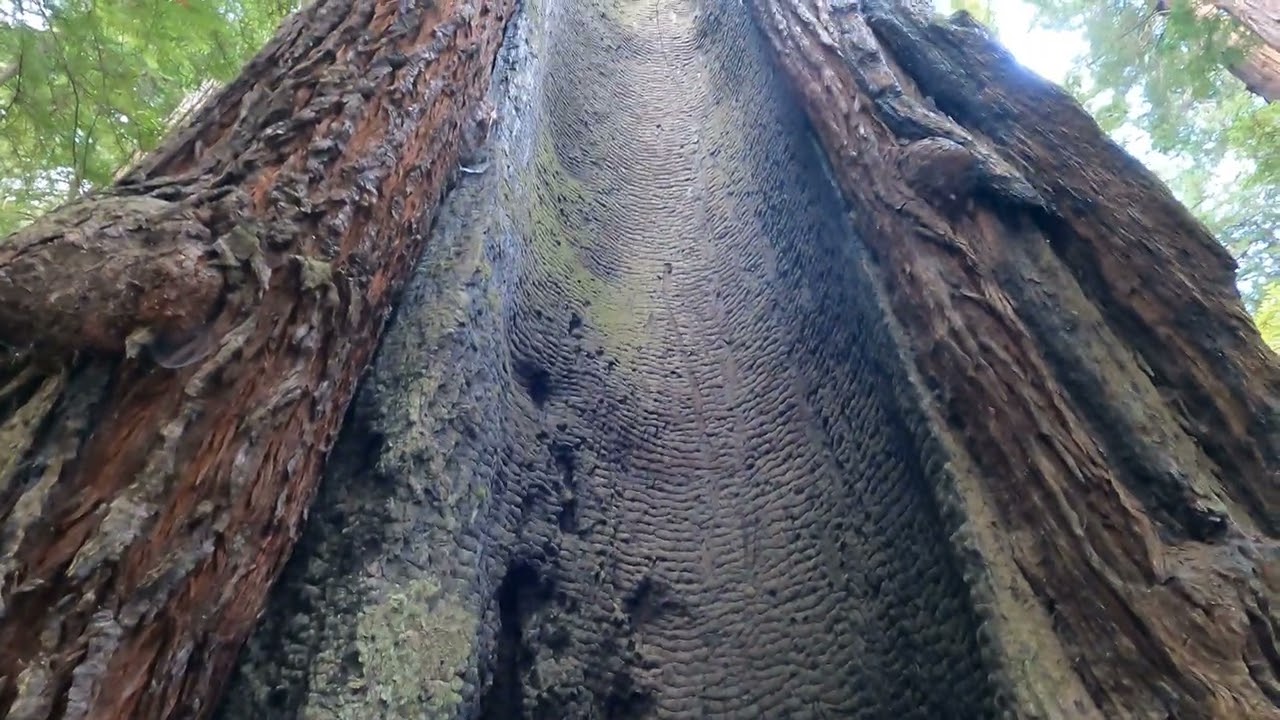 Day85 to Standish CA