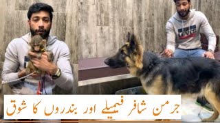 Ramzan Bhai |  Dogs Rates | Tollinton Market  Lahore | German Shepherd Females | Mian Informative