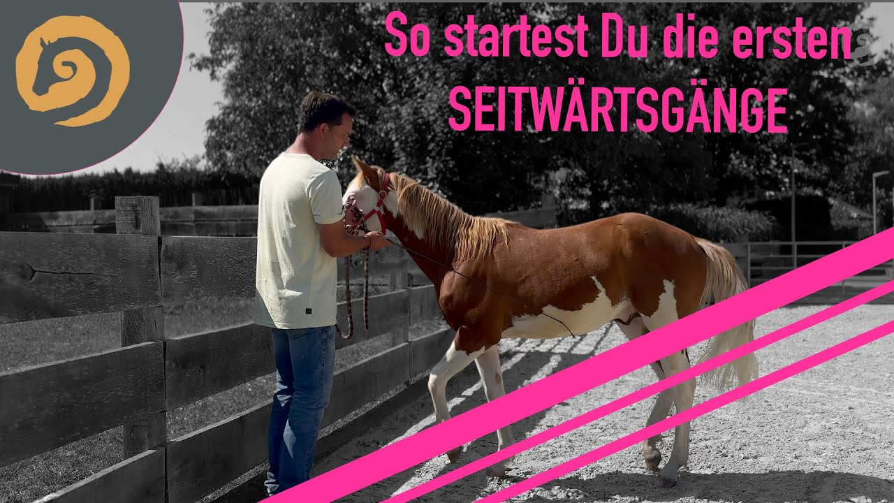 Die Grundmanöver