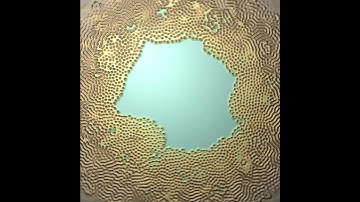 Reaction Diffusion on GPU Compute Shaders #shorts