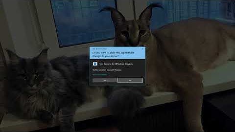 Xbox Apps/Xbox Console Companion - Can