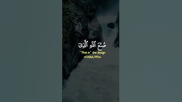 قرآن كريم #قرآن #راحة_نفسية #قرآن_كريم