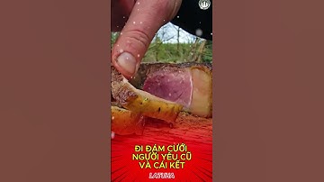 [ AUDIO] Đi Đám Cưới Người Yêu Cũ Và Cái Kết