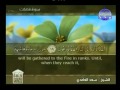 سعد الغامدي من قناة المجد للقران الكريم