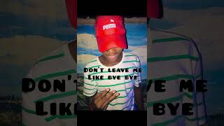 Dingoh D.dorchs Verse One The Song Mood