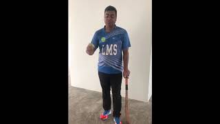 UWSM Cricket - Wall Batting & Catching screenshot 4