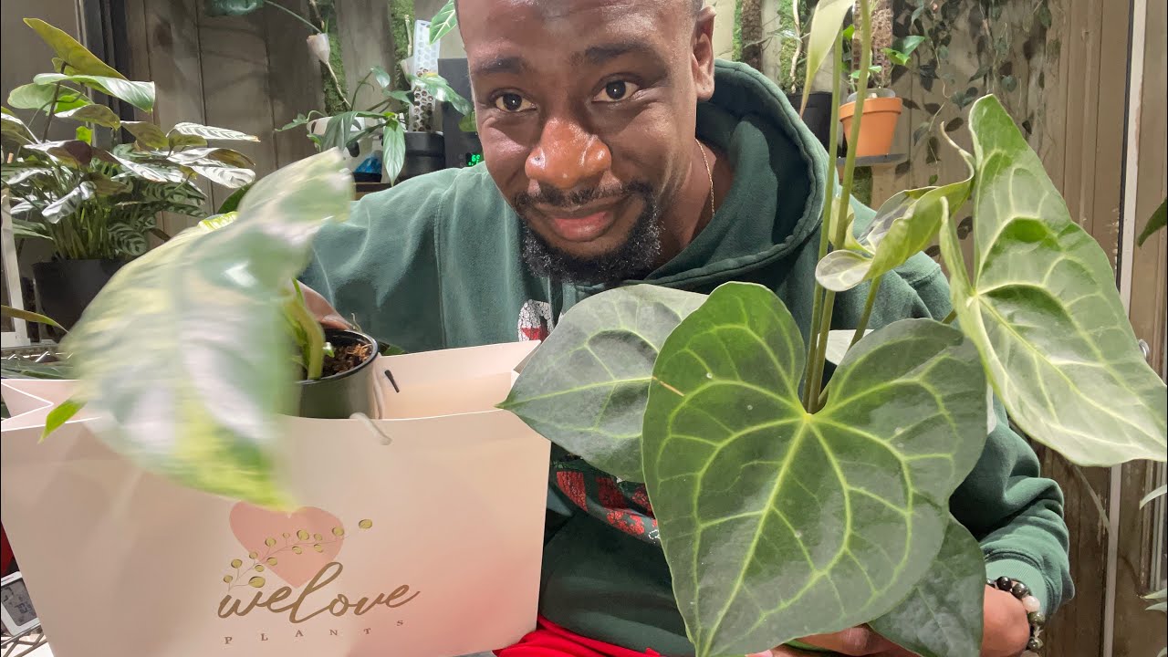 Central Florida Plant Tour: WeLovePlants 🪴😁🙌🏾 ️ - YouTube