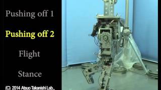 2014 Bipedal Running Robot: Jumping by Pelvic Movement and Leg Elasticity