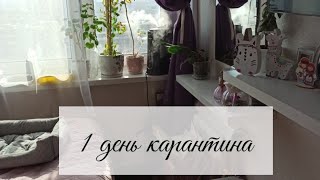 Влог 💜 Болталка ☺️ Подготовка к карантину и чем мы занимались в первый день самоизоляции