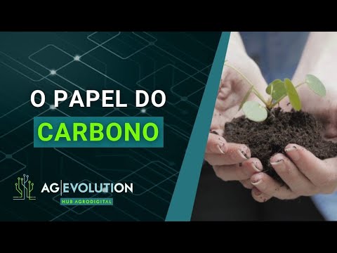 O papel do carbono | Boletim AgEvolution