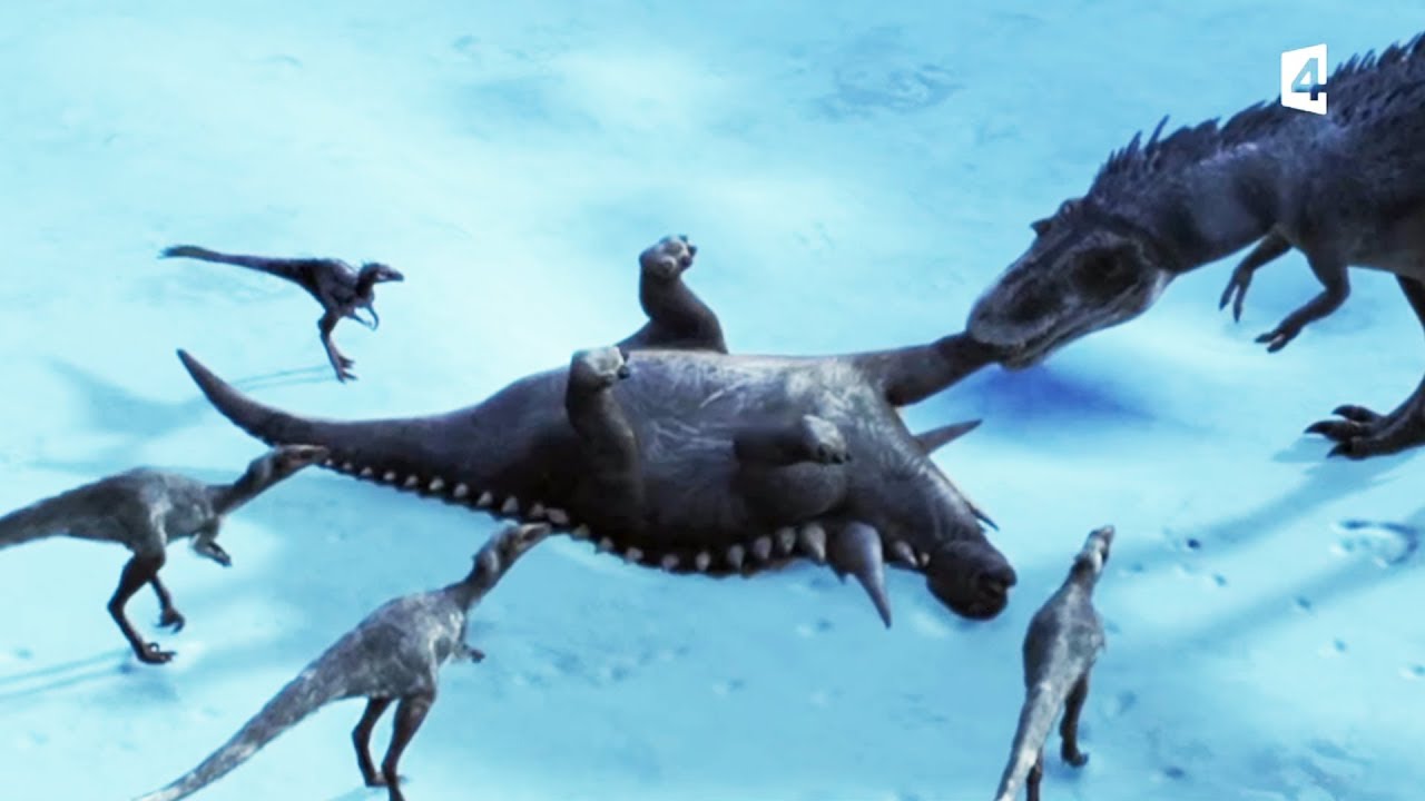 L'ankylosaure seul contre tous - ZAPPING SAUVAGE