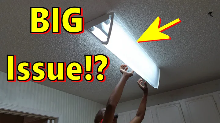 They Deliver? Philips LED InstantFit 4-Foot Tube Light Bulbs